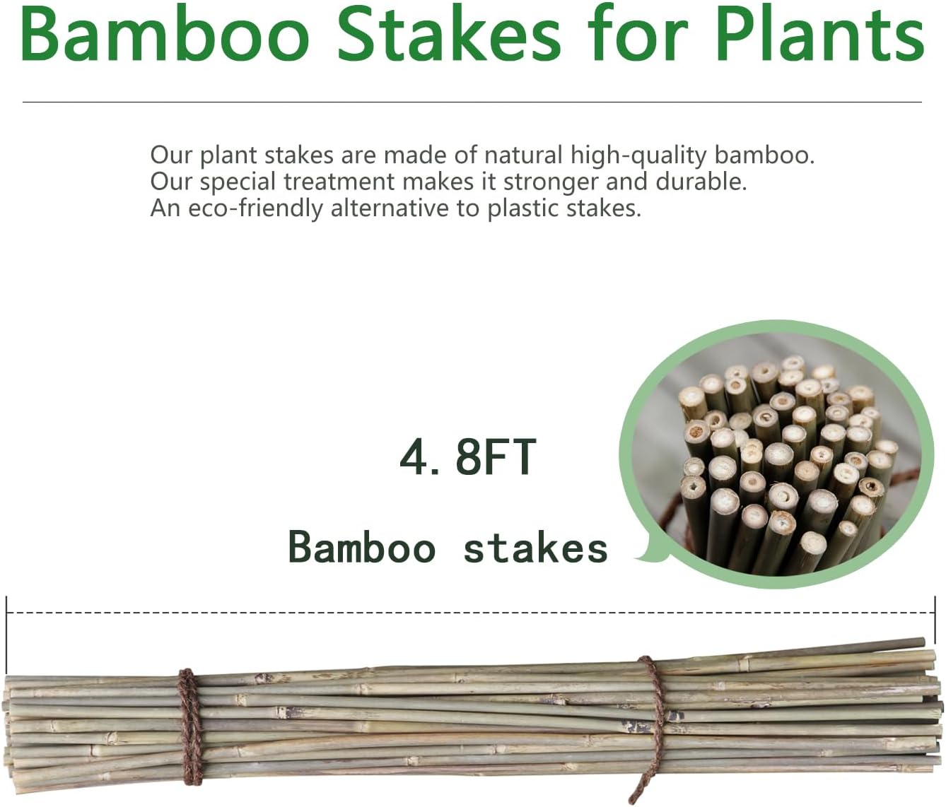 Bamboo Stakes - Eco-Friendly Plant Support Poles | 50-Pack, 4.8FT Height for Tomatoes, Beans & Flowers