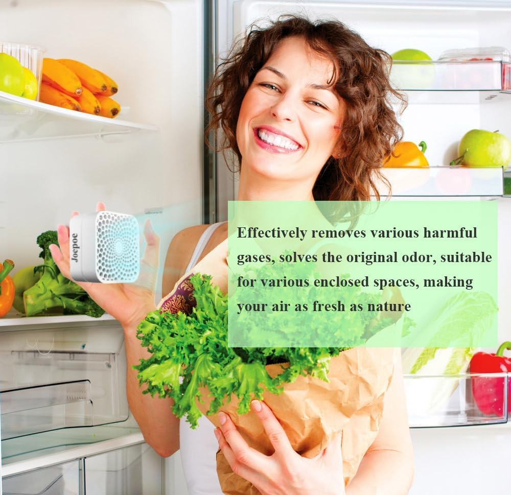 Skiennix Refrigerator Deodorizer - 99% Odor Eliminator | Lasts 10 Years | 2-Pack for Fridge, Freezer & More