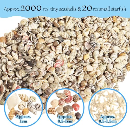2000 PCS Natural Mini Sea Shells & 20 Starfish for Crafts and Vase Fillers