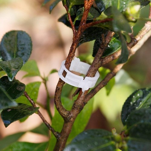 KINGLAKE Plant Support Clips - 200 Pcs Tomato Vine & Trellis Clips for Healthier Upright Growth
