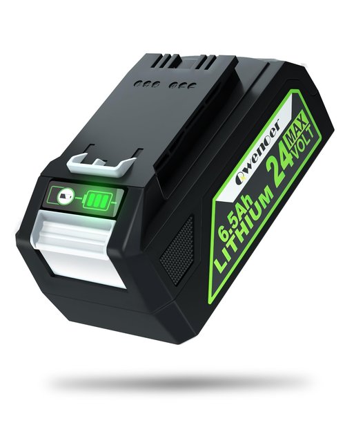 Qwenoer [3X Long Runtime] 24V 6.5Ah Replacement for Bis 24V Battery Compitable with Bis Cleanview XR & XR Pet Series Vacuum, Compitable with Bis Vacuum Cleaner 3789U, 3797V