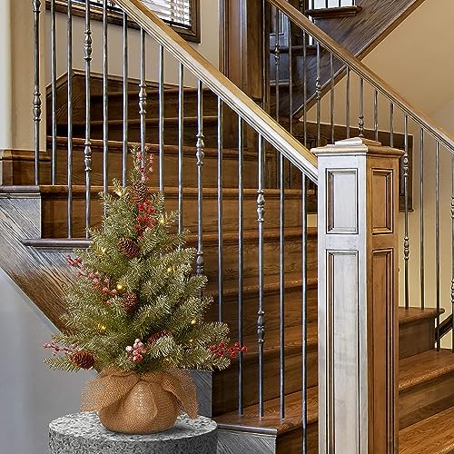 2ft Pre-Lit Artificial Christmas Tree with Flocked Branches and LED Lights