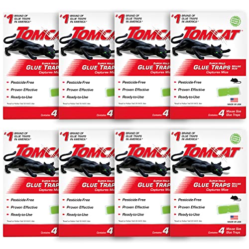 Tomcat Super Hold Mouse Glue Traps, 8-Pack - Non-Toxic Pest Control