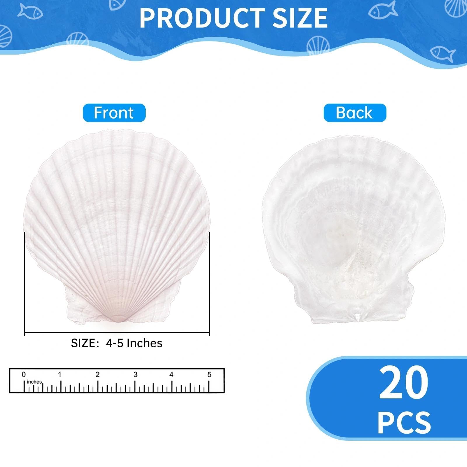 20PCS Large Scallop Shells for Crafts, 4-5 Inch Natural Sea Shells for Decorating, White Seashells Bulk for DIY Crafting, Painting, Baking, Ocean Themed Party Supplies & Decorations
