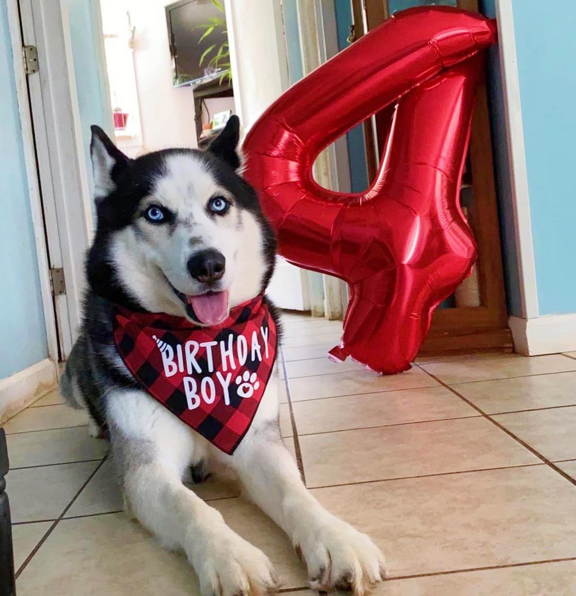 Number 6 Balloon - 40 Inch Red Birthday Decoration for Men & Women | Perfect for 6th Birthday Celebrations