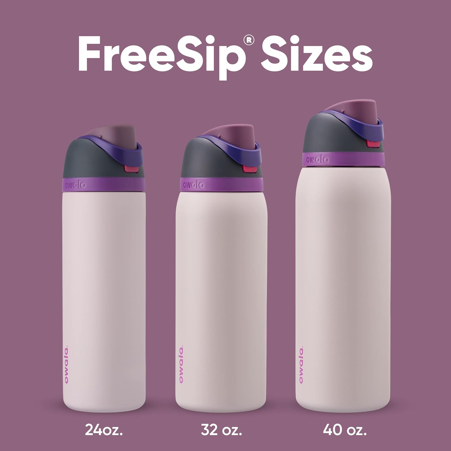 Owala FreeSip Insulated Stainless Steel Water Bottle - 24 oz BPA-Free with Straw | Dreamy Field Design for Sports & Travel