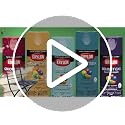 Krylon COLORmaxx Gloss Burgundy Spray Paint & Primer - 12 Ounce