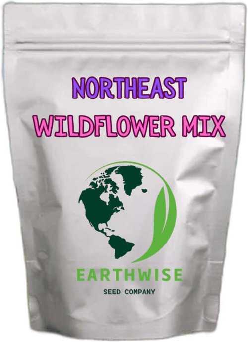 Earthwise Wildflower Seed Mix | Organic, Pollinator-Friendly, Low Maintenance - Covers 500 Sq Ft, 1/4 lb