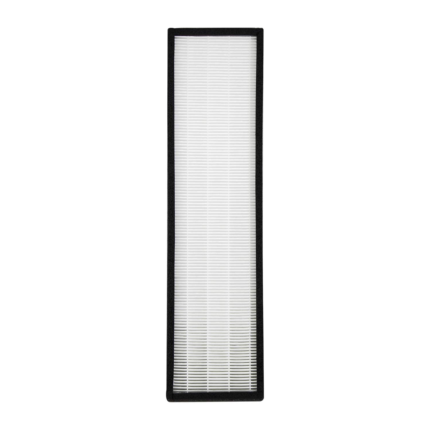 Hunter F1701HE, 30613 True HEPA Replacement Air Purifier Filter for Models HT1701, 30100