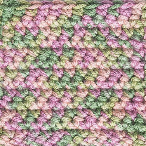 Caron Simply Soft Paints Yarn - 5 oz Rose Garden, 100% Acrylic