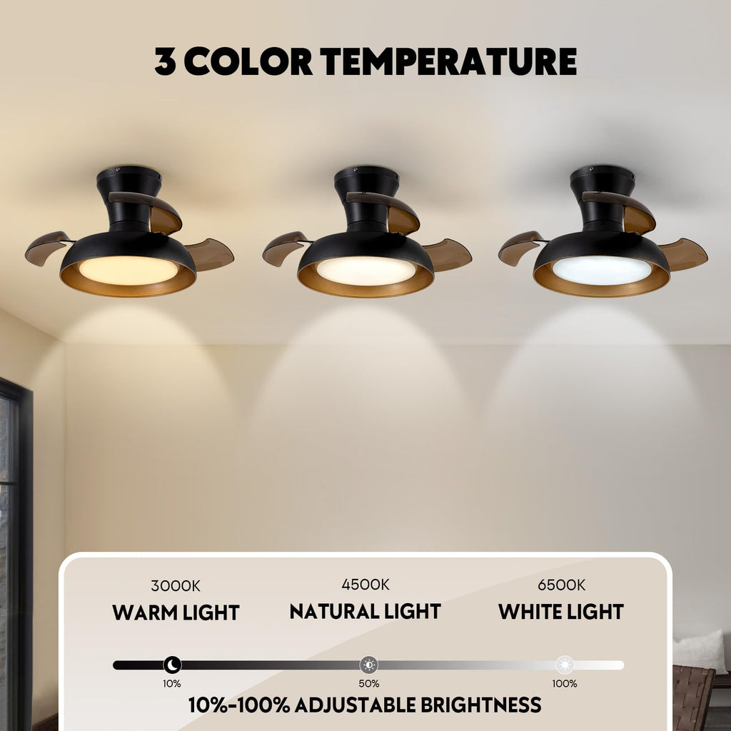 APBEAMLighting 23 Inch Black and Gold Ceiling Fan with Light and Brown Retractable Blades Small Led Light Fixture Ceiling Modern Fandelier Fan Lights Cei ling Fixtures for Bedroom Dining Room Kitchen