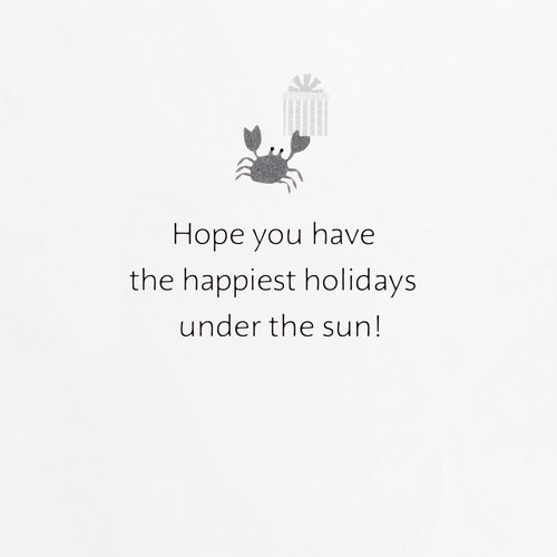 Hallmark Boxed Christmas Cards, Tropical Santa (16 Cards and 16 Envelopes) Warmest Christmas Wishes