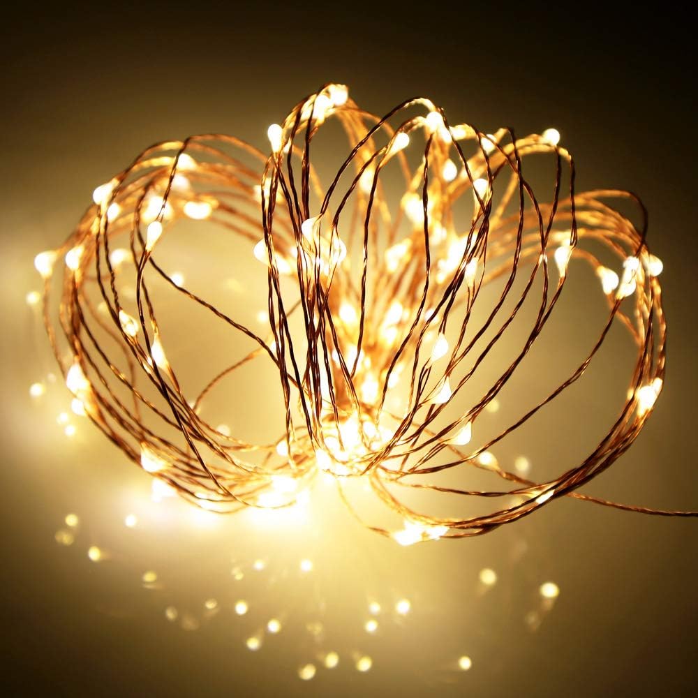 Ariceleo LED Fairy Lights - Battery Operated Mini Copper Wire String Lights | 5m/16ft Warm White for Bedroom, Weddings & Parties