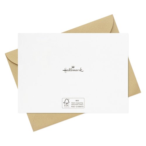 Hallmark Beach Note Card Assortment (48 Blank Cards with Envelopes) for Summer Birthdays, Pool Party Invitations, Bachelorette Party Thank Yous
