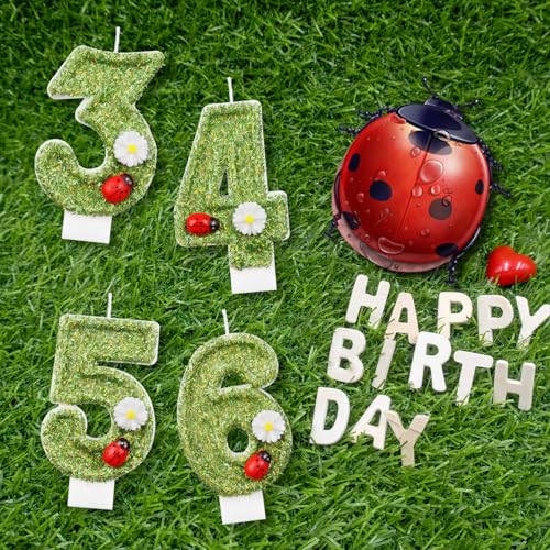 Green Ladybug Number 2 Birthday Candle with Daisy Decoration