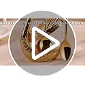 Frandilo Gold Swan Coffee Spoon Set with Holder - Elegant Kitchen Organizer