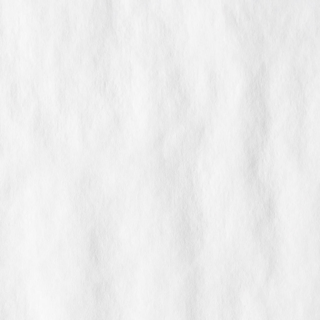 Dixie Parchment Silicon-Coated Pizza Sheet by GP PRO (Georgia-Pacific), White, 27S12, 12" L x 12" W, (Case of 1,000)