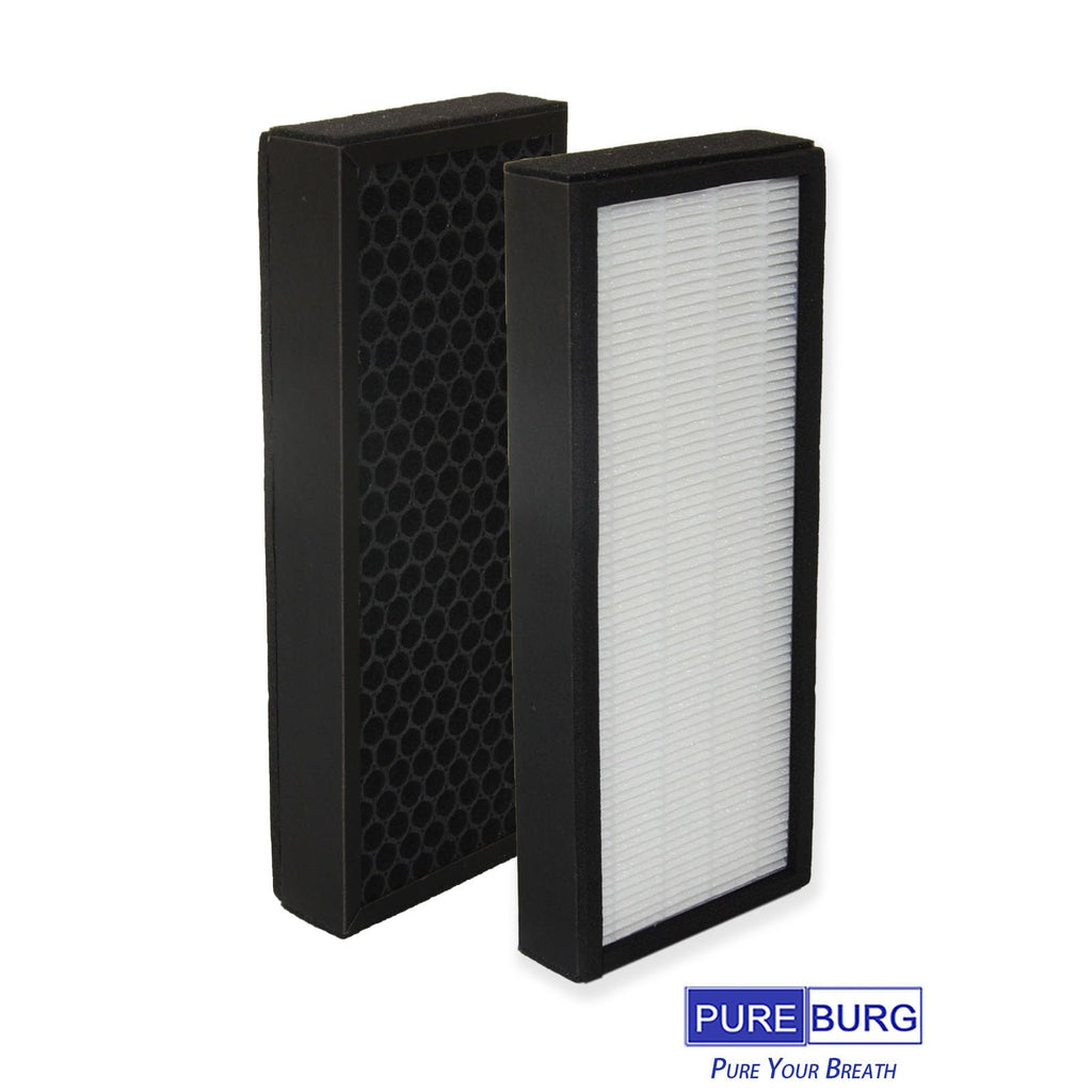 PUREBURG F1702HE Replacement Filter Compatible with Hunter HT1702 10200 Air Purifier, Part F1702HE/2 (30612), 2-Pack H13 HEPA Activated Carbon 2-in-1