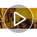 3 Pack Lighted Birch Tree Lights 4/5/6FT - Warm White LED Artificial Trees