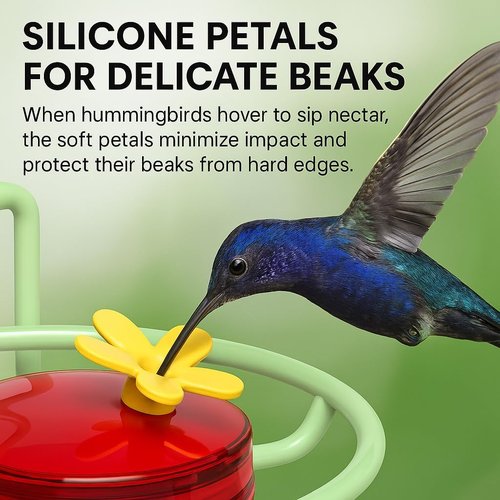 Dreamdrawer Hummingbird Feeder - Small Outdoor Feeder with Strong Suction Cup & Metal Base, 6 Feeding Ports