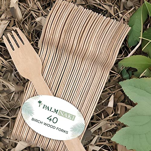 Eco-Friendly Birchwood Cutlery Set - 40 Disposable Forks