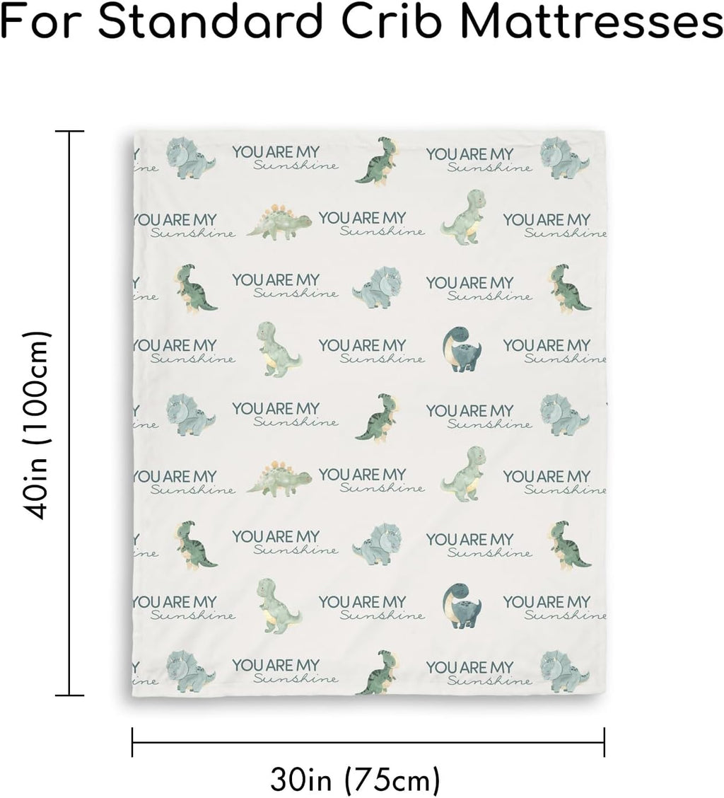 Skiennix Dinosaur Baby Blanket - Super Soft Double Layer Minky Nursery Throw (30" x 40") - Blue