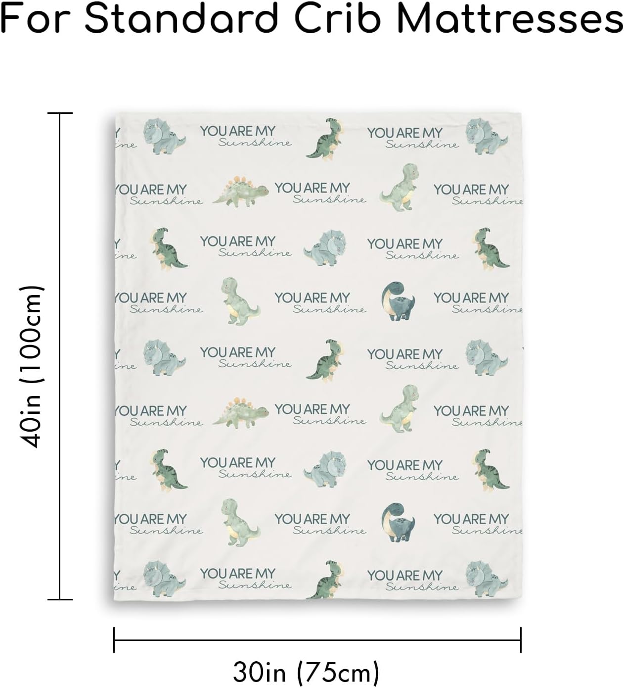 Skiennix Dinosaur Baby Blanket - Super Soft Double Layer Minky Nursery Throw (30" x 40") - Blue