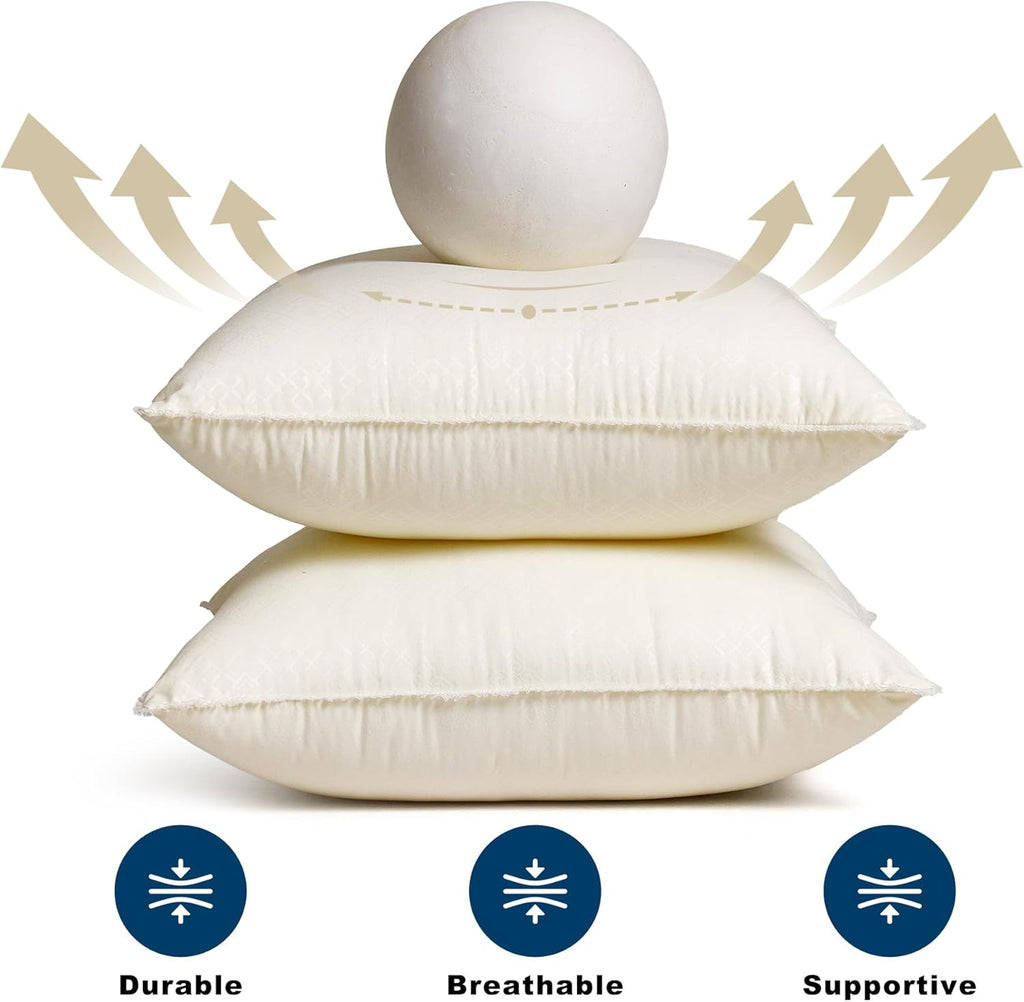 Skiennix 18 x 18 Throw Pillow Inserts - Soft Plush Virgin Fiber Filling | Machine Washable - White, Set of 2