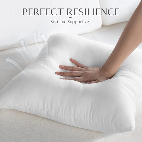 Ashler Outdoor Pillow Inserts - Waterproof Hypoallergenic Set of 4 | 18 x 18 Decorative Cushions for Patio