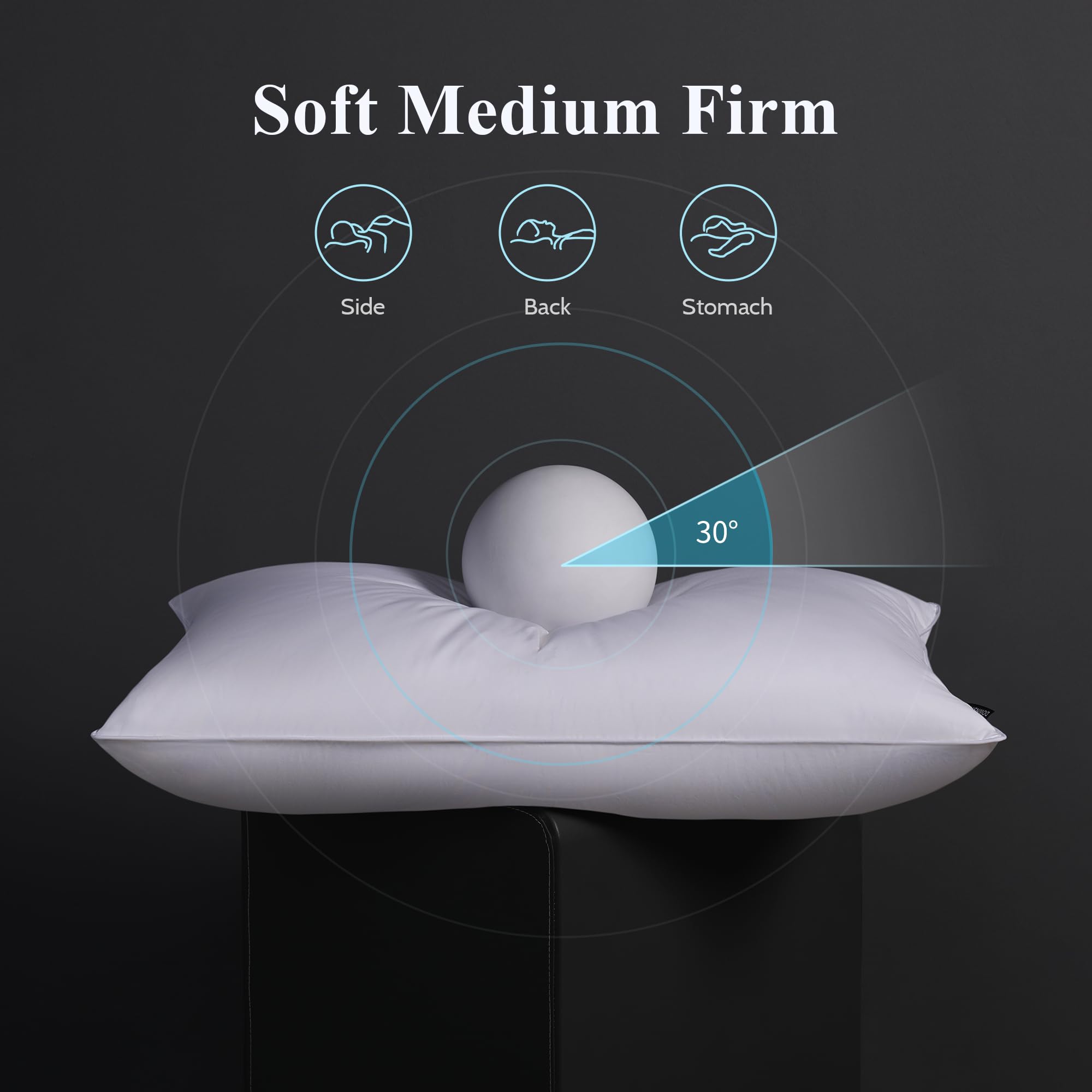 DOWNSTORIA Goose Feather Down Pillow King Size Set of 2, Hotel Collection Bed Pillows for Sleeping, 2 Pack, Down Surrounded Soft Medium Firm Pillows for Side Back Sleepers 20 x 36 in.