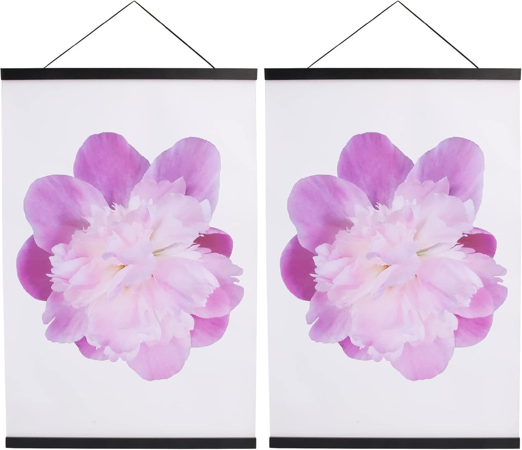 Aynoo Magnetic Poster Hanger Frame - 20 Inch Picture Frame Hanger in Black | Versatile Sizes 20x30, 20x28, 20x36, 20x24