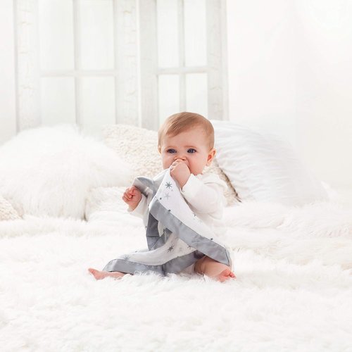 aden + anais Essentials Issie Security Blankets, Super Soft 100% Cotton Muslin, 2 Pack, Safari Babes