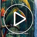 DLRIUAZEP Tropical Jungle Shower Curtain Set 72x72 Inches with Waterfall Parrots & Palm Trees - Variation 305