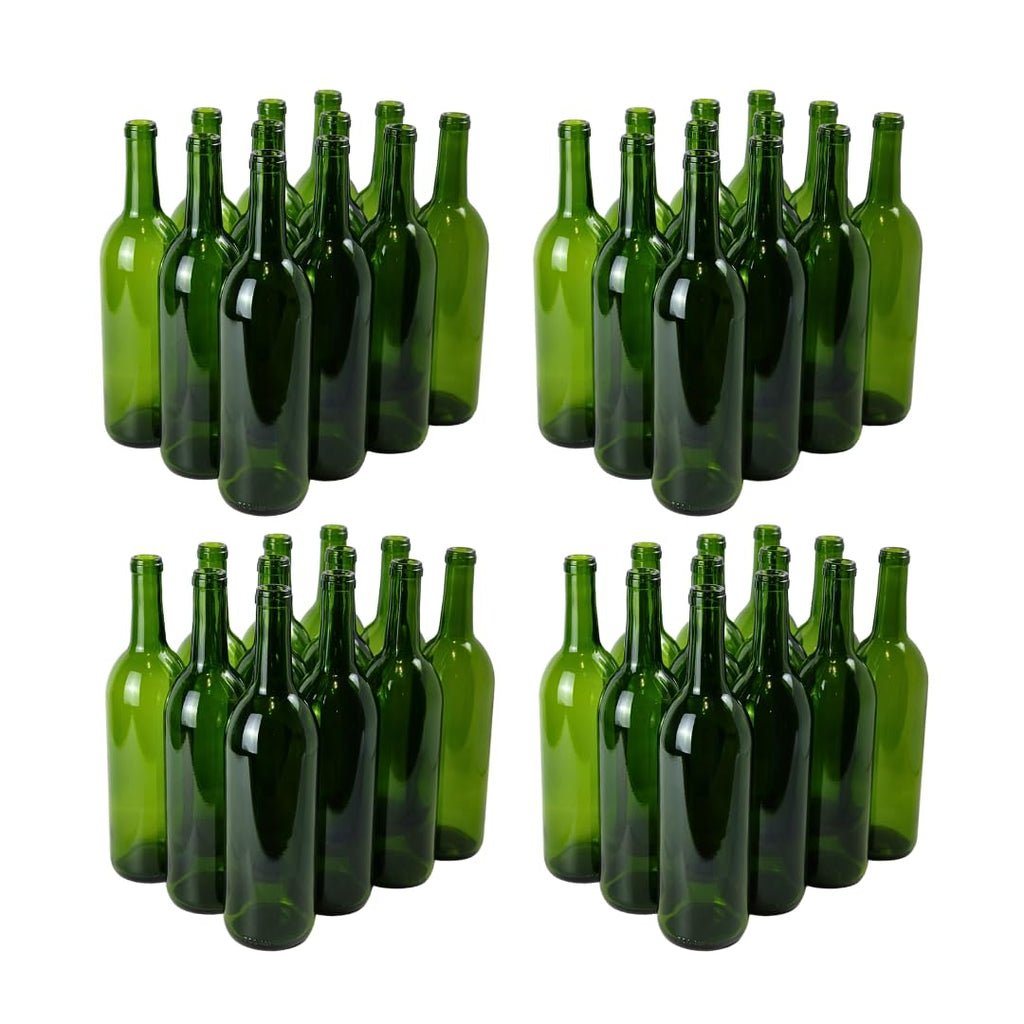 FastRack - 750ml Champagne Green Wine Bottles (Pack of 48) | W5 Bordeaux Empty Liquor Bottles for Drinks, 4 Cases of 12 - NO CORKS INCLUDED