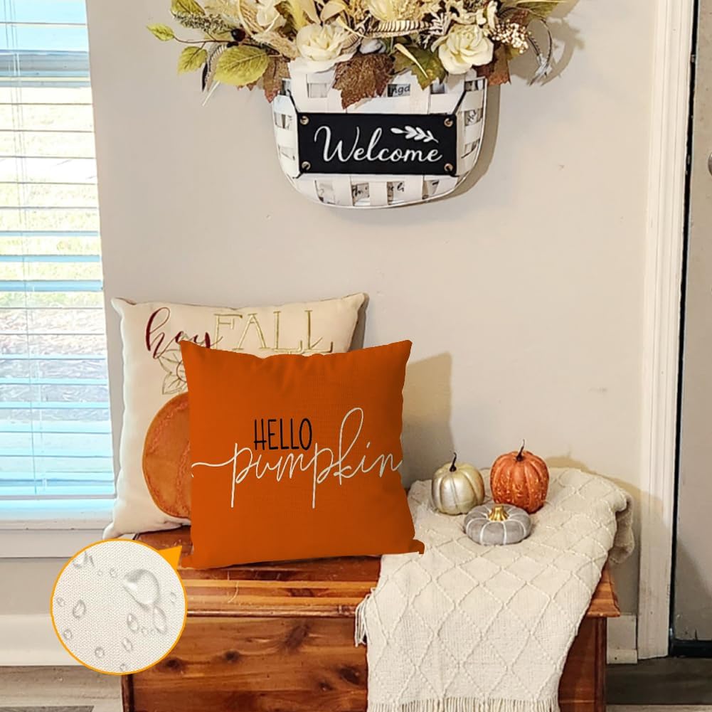 RABUSOFA Fall Pillow Covers - 18x18 Inch Outdoor Waterproof Rust Hello Pumpkin Design | Thanksgiving Decor