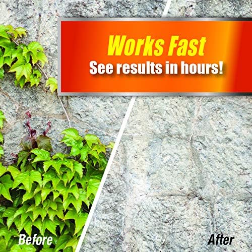 Regine Switzerland Weed Brush & Vine Killer - Fast Acting, Non-Staining Herbicide, 32 oz.