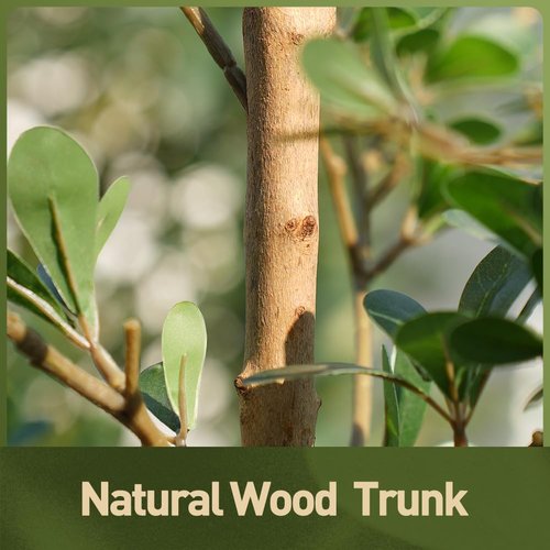 Verinatural Artificial Black Olive Tree 7FT Indoor Outdoor Decor Faux Plants - Real Wood Trunk Fake Tree with Green UV Resistant Leaves - Tall Floor Plant for Modern Home Office Living Room Decoration