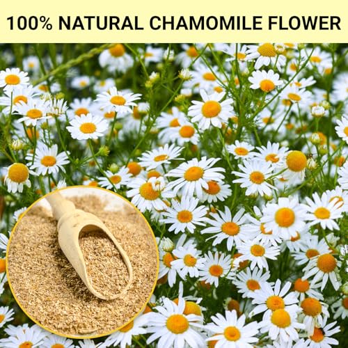 Tiucm Premium Chamomile Herbal Tea Bags, Caffeine-Free, 50 Count