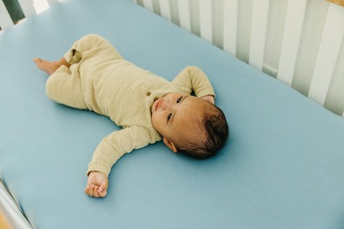Premium Fitted Knit Crib Sheet/Toddler Sheet Robin by Copper Pearl, CP-CRSH-0128-NSZ