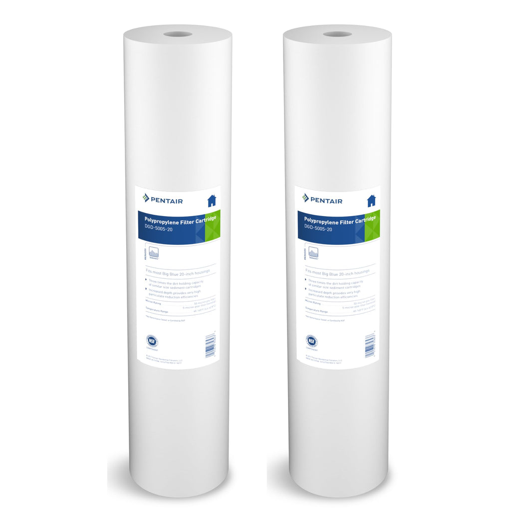 Pentair Pentek DGD-5005-20 Big Blue Water Filter, 20-Inch Whole House Sediment Filter Cartridge Replacement, Dual-Gradient Density Spun Polypropylene, 20" x 4.5", 5 Micron, (Pack of 2), White