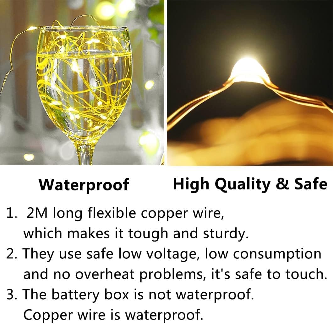 Skiennix 24 Pack Fairy Lights - Battery Operated 7FT Waterproof Silver Wire String Lights | Indoor/Outdoor Decor
