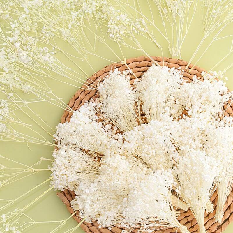 Ivory Dried Baby's Breath Flowers Bouquet Bulk 6000+ Stems for DIY Crafts & Decor