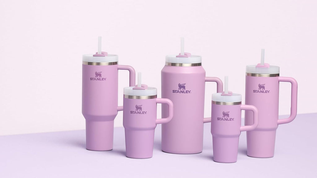 STANLEY Quencher H2.0 Tumbler - 20 oz Insulated Stainless Steel Cup with Handle & Straw | BPA-Free | Lilac