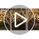 Lighted Birch Tree Decor - 22 Inch White Tabletop Tree with Timer & Battery Powered