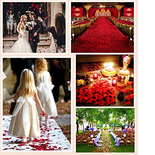 1000pcs Artificial Silk Rose Petals for Weddings & Events
