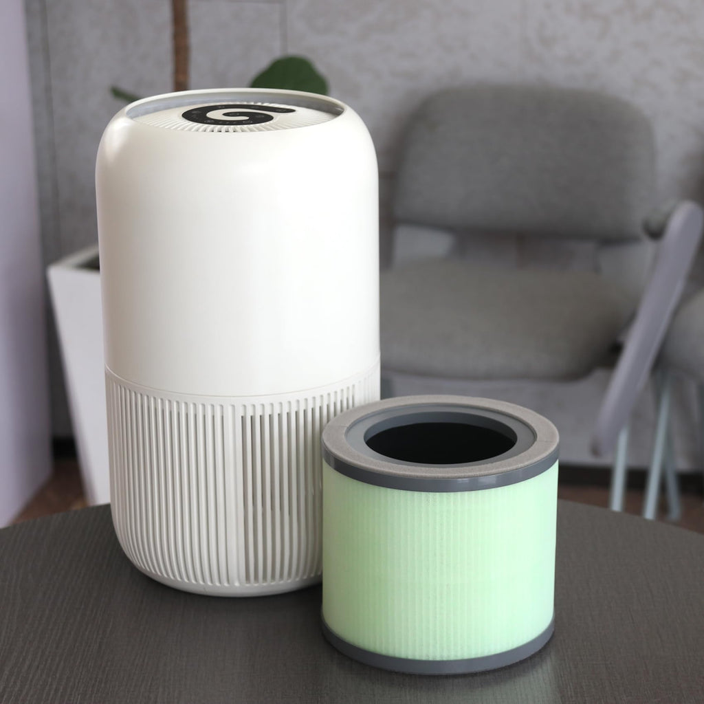TR-8080 Replacement Filter Compatible with Dreamegg TR-8080 Clean Purifier, 4-In-1 Filtration with H13 True HEPA Filter, Part No# RF001, 2 Pack