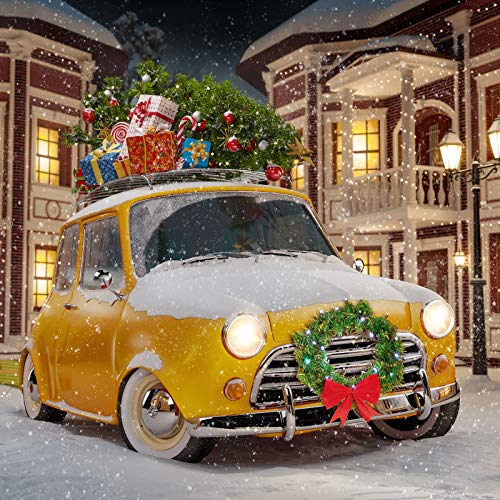 Honoson 26 Inch LED Christmas Wreath for Car Truck with 5 Nylon Ties