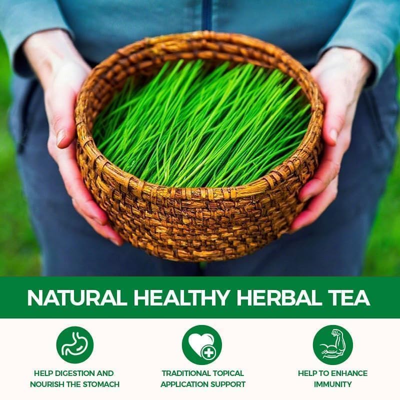 WOTIHA 60 Count Premium Horsetail Tea Bags - 100% Natural Pure Herb, Supports Hair & Nail Health, Caffeine/Additive/Sugar-Free, Non-GMO, Cola De Caballo Hierba