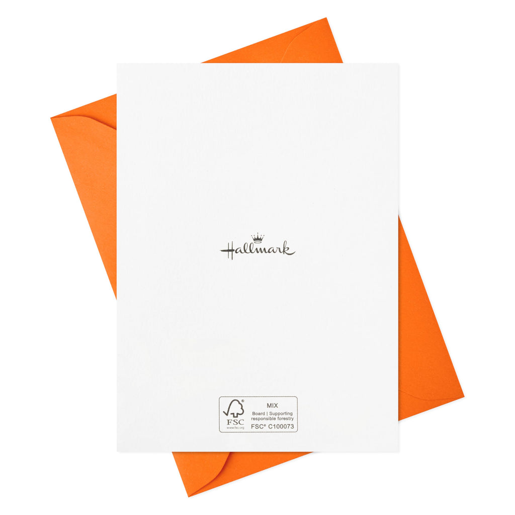 Hallmark Retro Thank You Card Assortment (24 Blank Cards with Envelopes) Orange, Yellow, Green, Pink