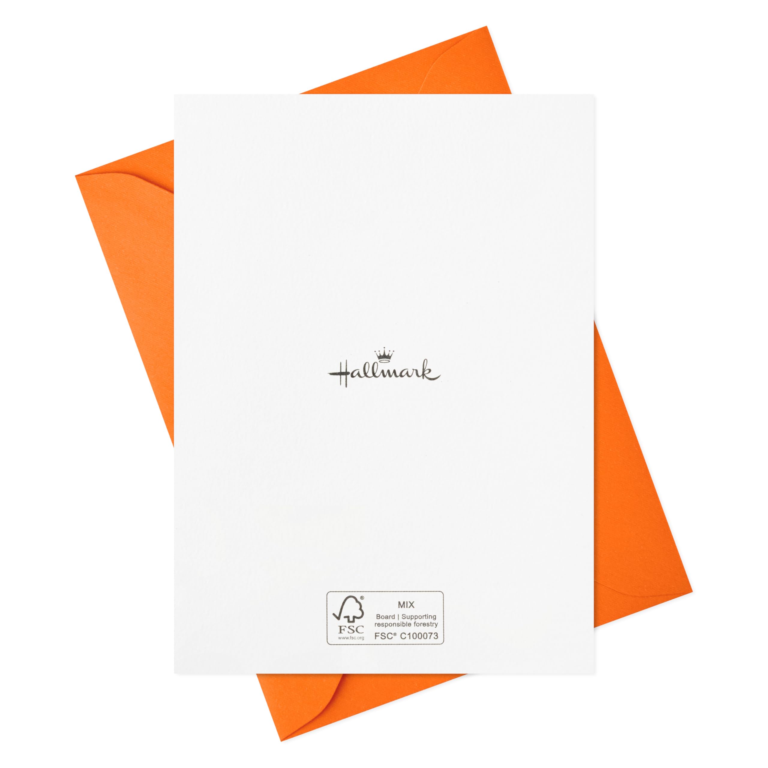 Hallmark Retro Thank You Card Assortment (24 Blank Cards with Envelopes) Orange, Yellow, Green, Pink